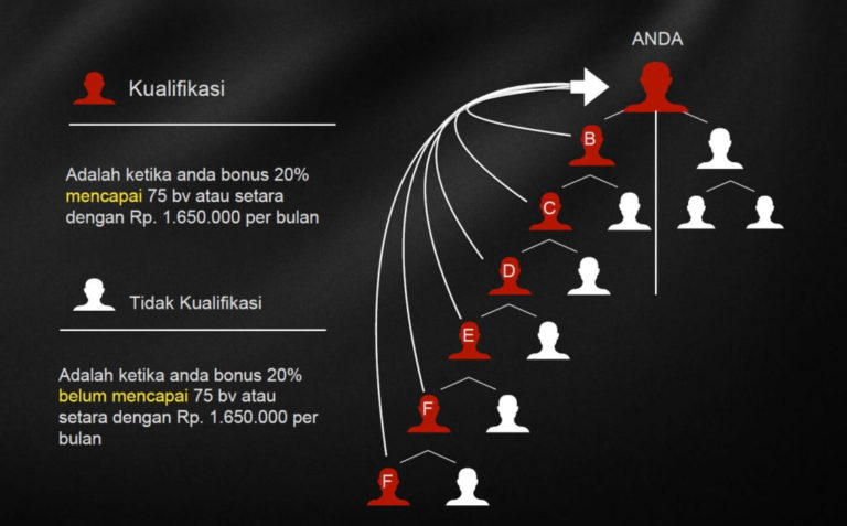 Marketing Plan16