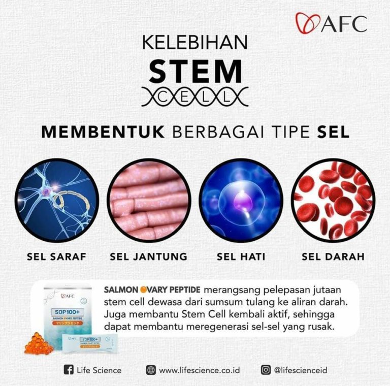 Stem Cell Therapy1