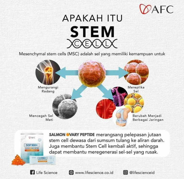 Stem Cell Therapy5