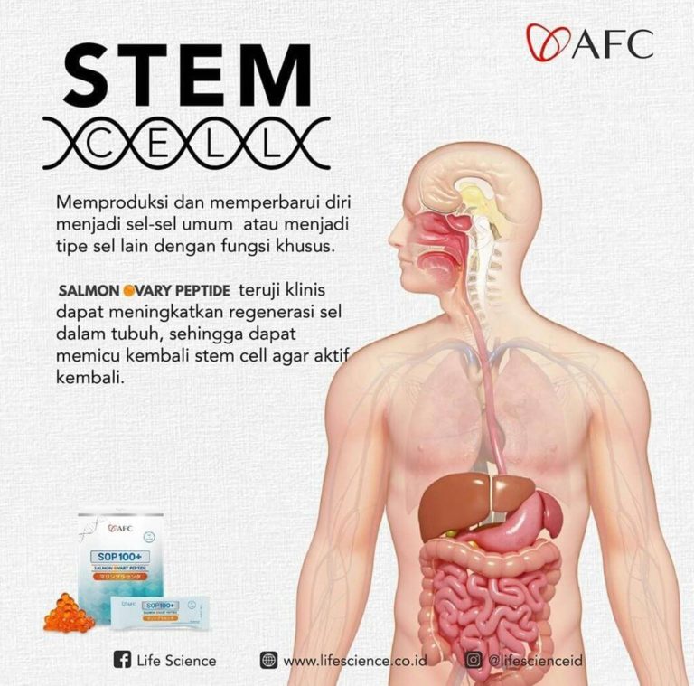 Stem Cell Therapy6