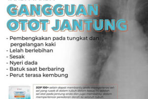 Gangguan Otot Jantung