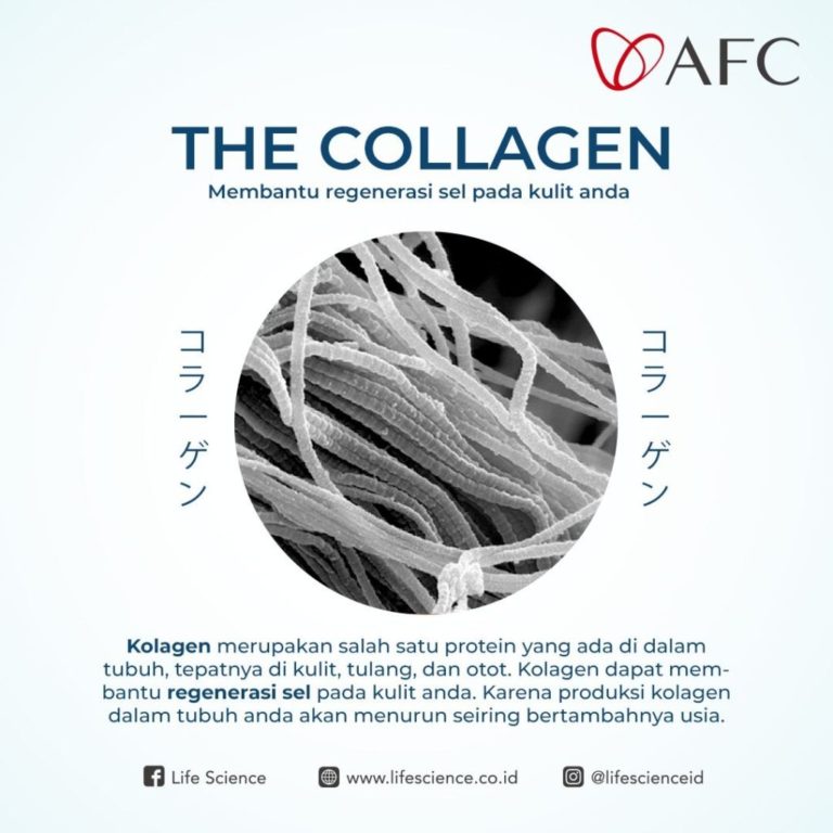 Marine Placenta - Collagen