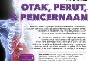 Otak-Perut-Pencernaan