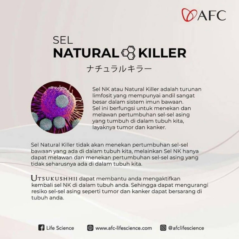 Sel Natural Killer