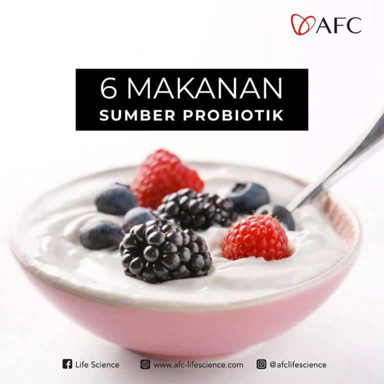 Makanan Sumber Probiotik0