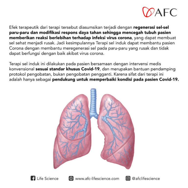 Terapi Sel Induk Untuk Menangani Covid-19 4