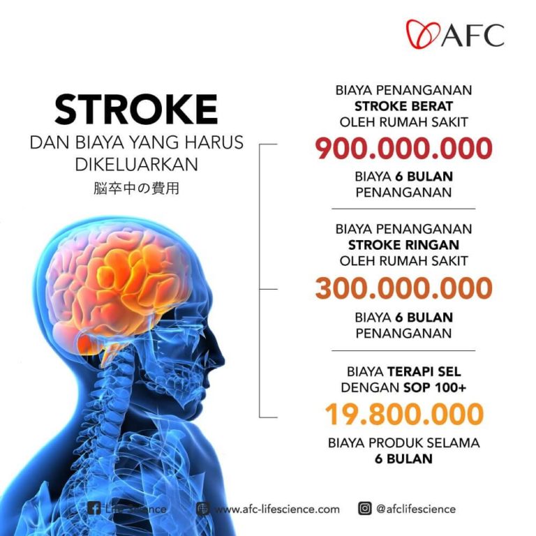 Biaya Perawantan Stroke