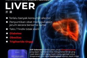 Liver