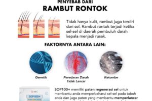 Rambut Rontok (2)