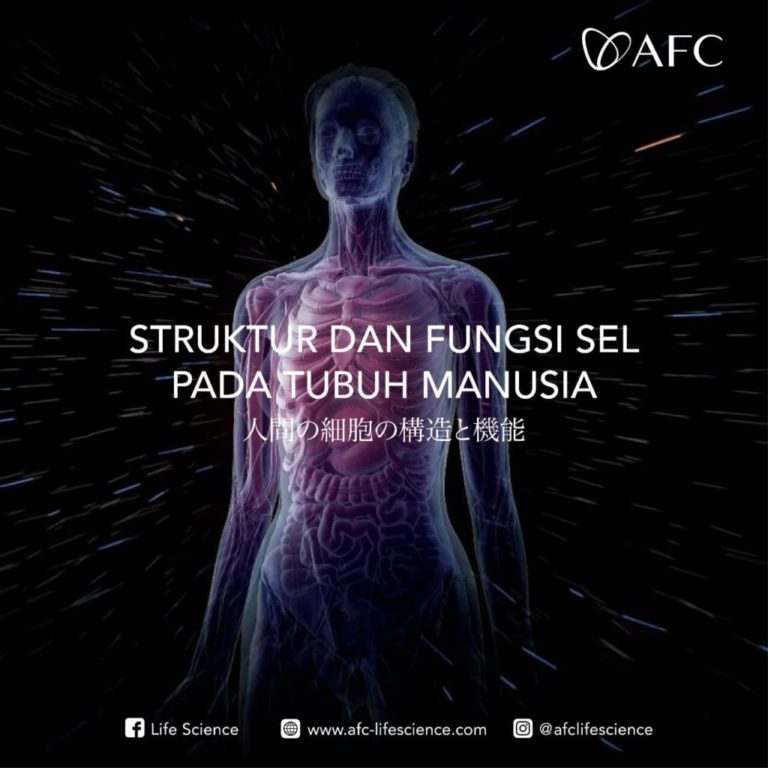 Stem Cell Therapy13