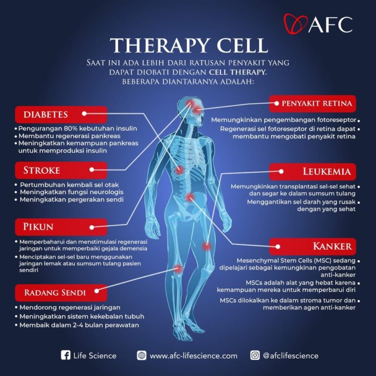 Stem Cell Therapy15