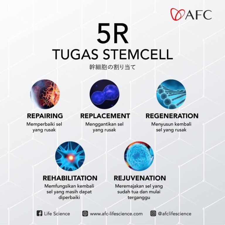Stem Cell Therapy8