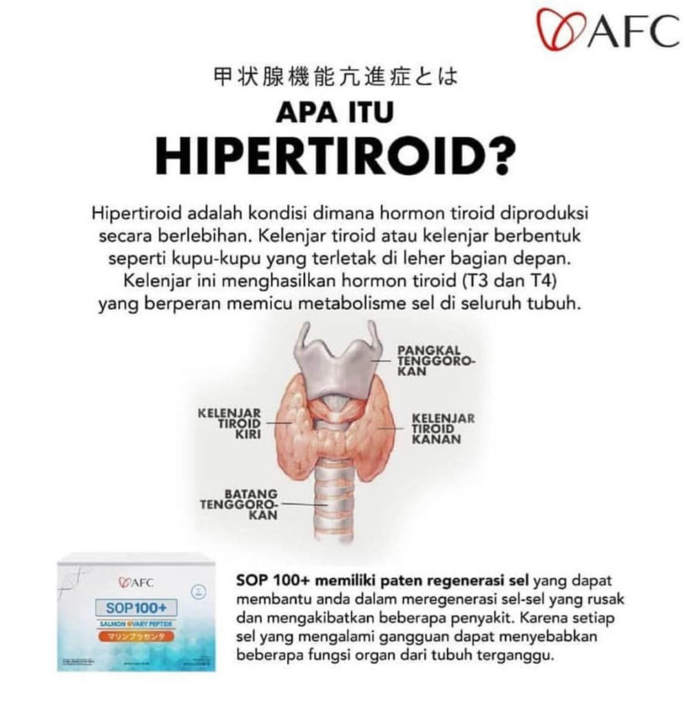 Apa Itu Hipertiroid  AFC Indo