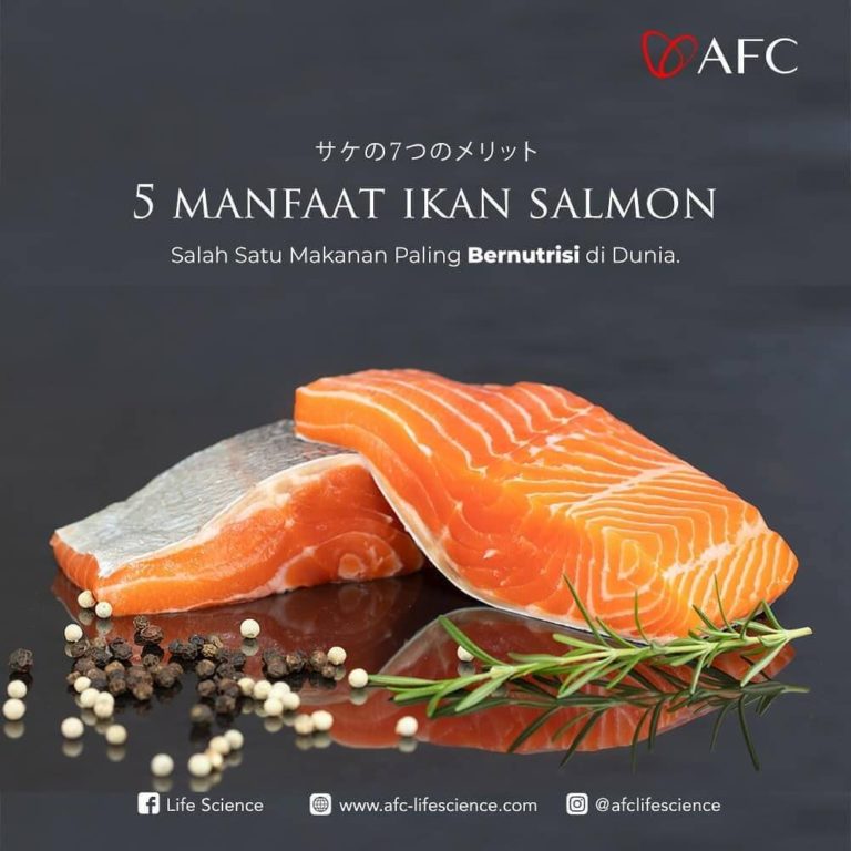 Manfaat Ikan Salmon0