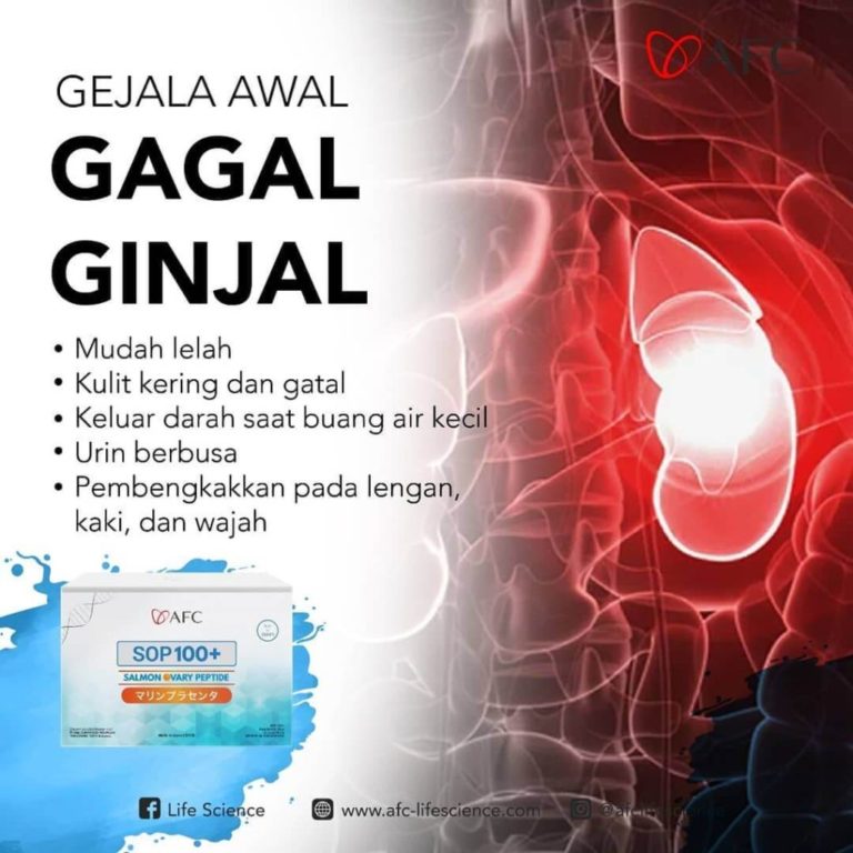 Gagal Ginjal