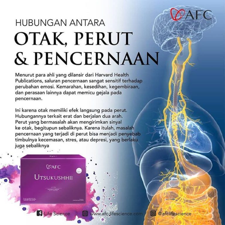 Hubungan Otak-Perut-Pencernaan