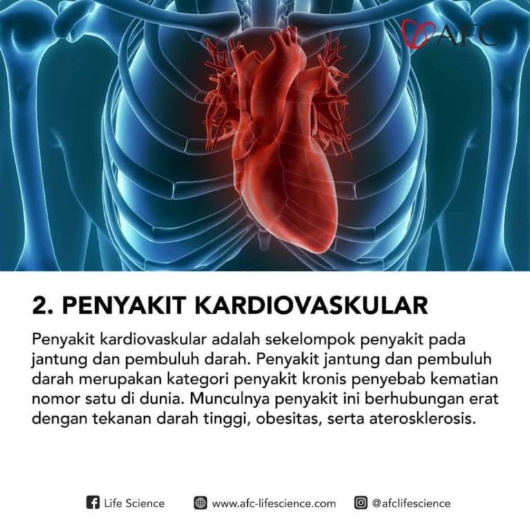 Penyakit Tak Menular Mematikan2