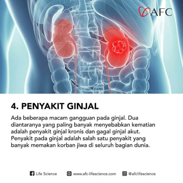 Penyakit Tak Menular Mematikan4