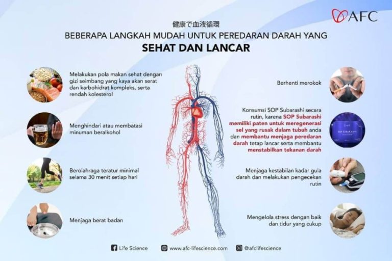 Peredaran Darah Sehat dan Lancar