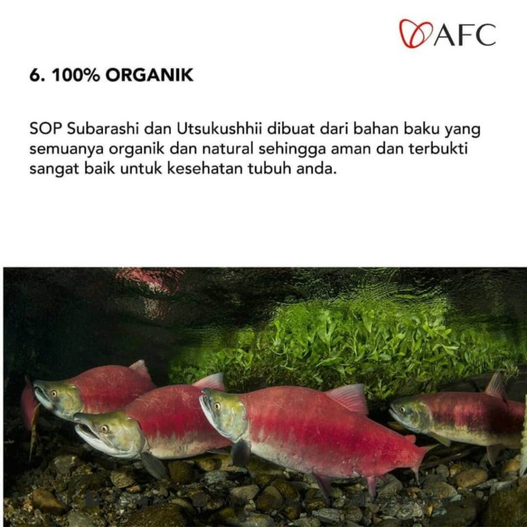 Perlunya Konsumsi Produk AFC Lifescience6