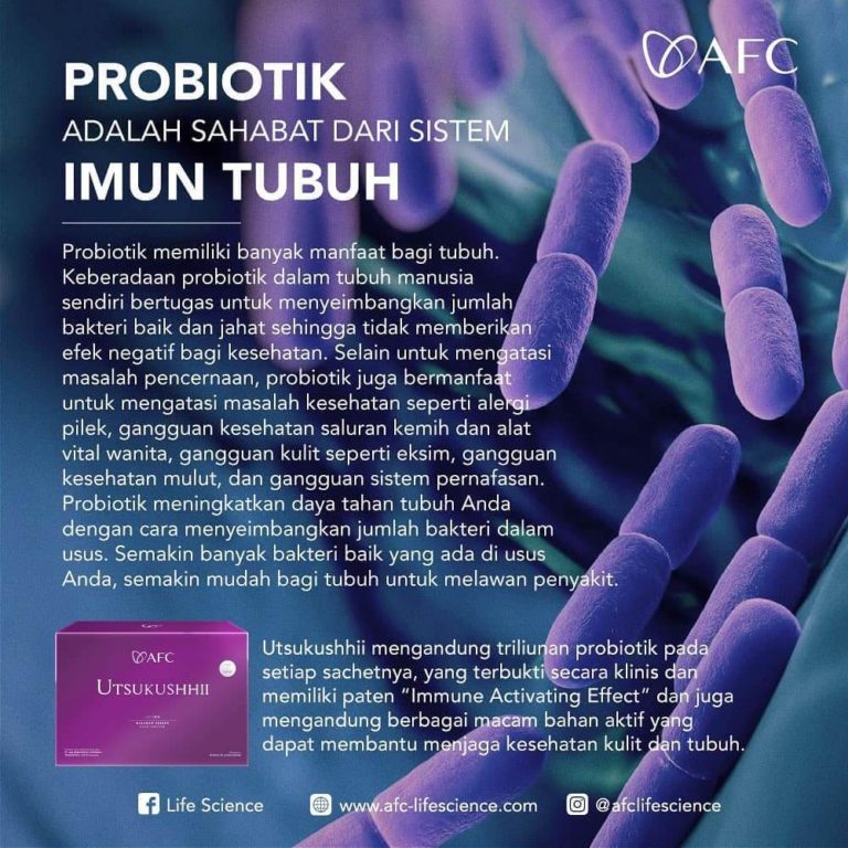 Probiotik Untuk Imun Tubuh