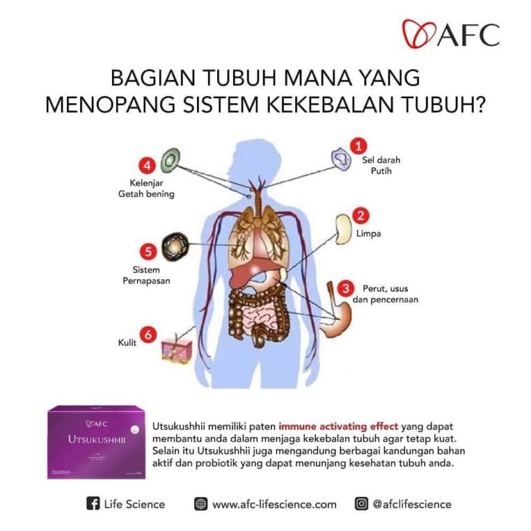 Faktor Sistem Imun2