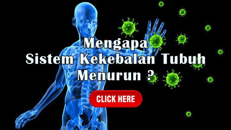 Immune System Link