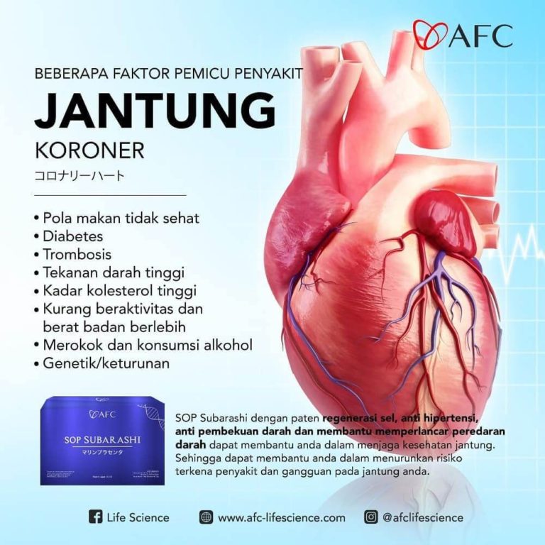 Jantung Koroner