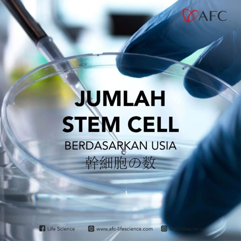 Jumlah Stem Cell0
