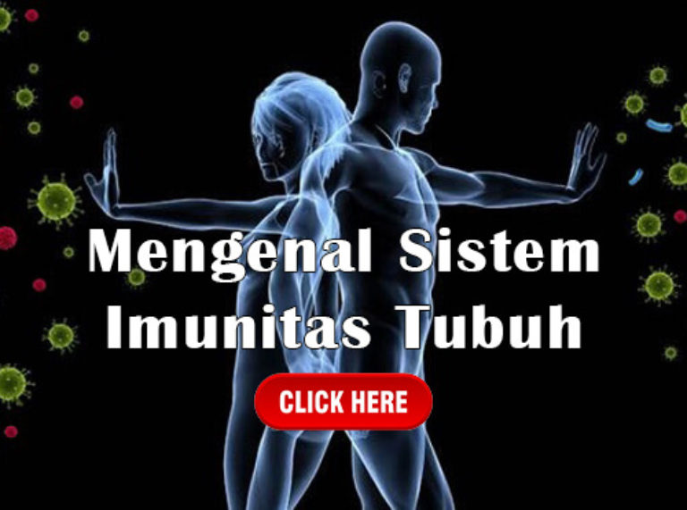 Mengenal Sistem Imunitas Tubuh