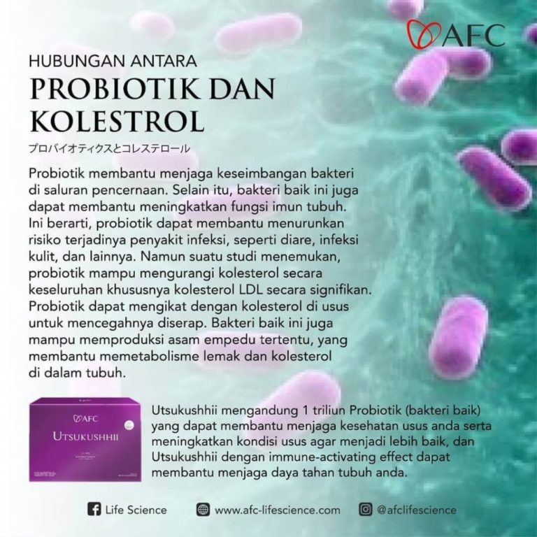 Probiotik dan Kolesterol