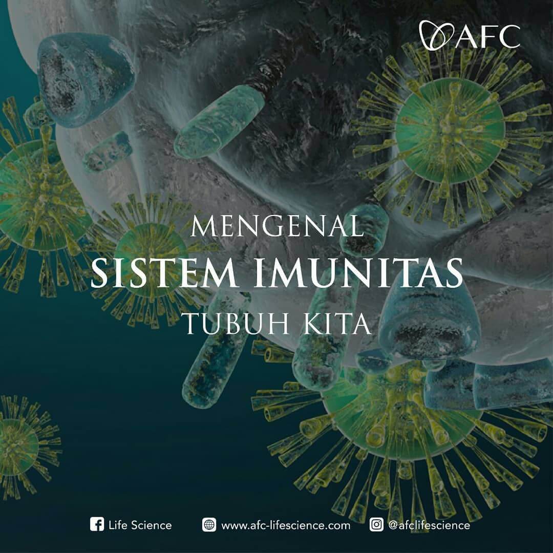 Sistem Imunitas Tubuh Probiotik Utsukushhii Afc Indo 7521