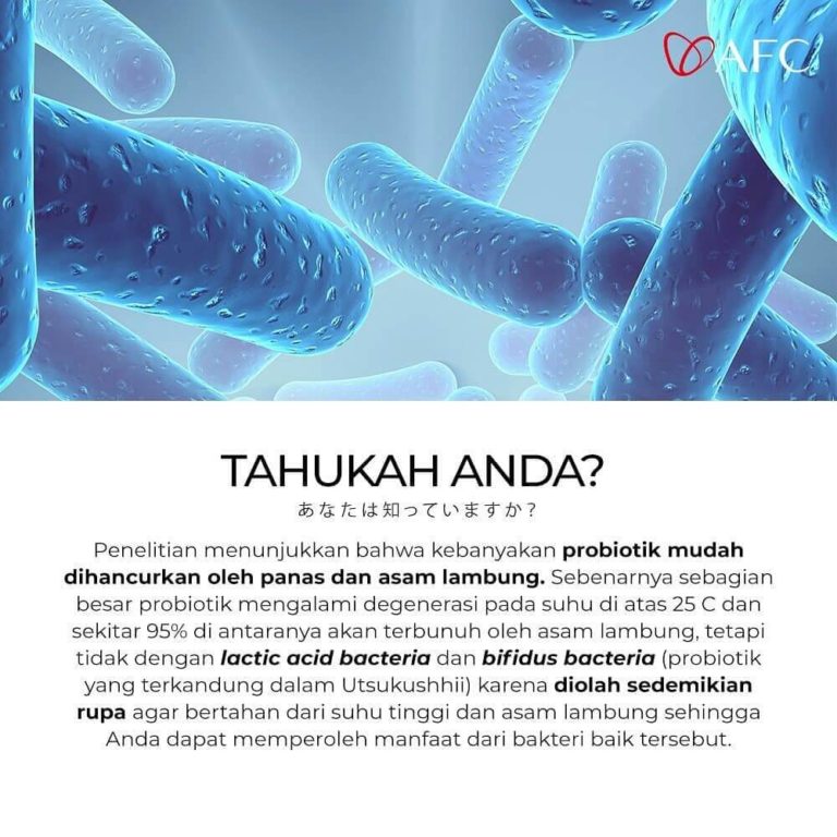 Lactic Acid dan Bifidus Bacteria (1)