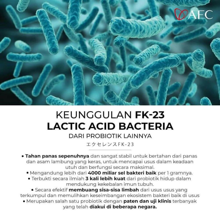 Lactic Acid dan Bifidus Bacteria (2)