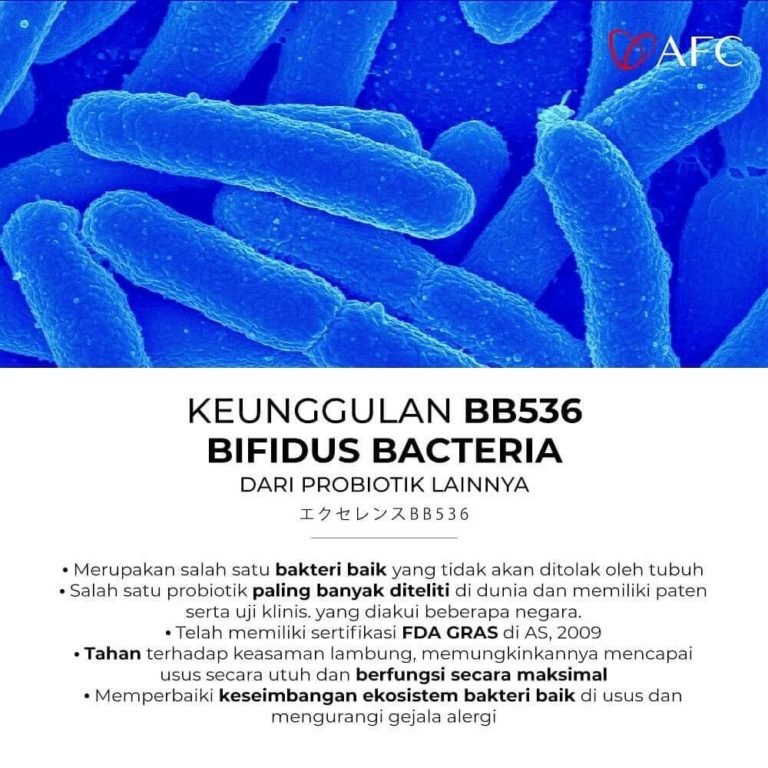 Lactic Acid dan Bifidus Bacteria (3)