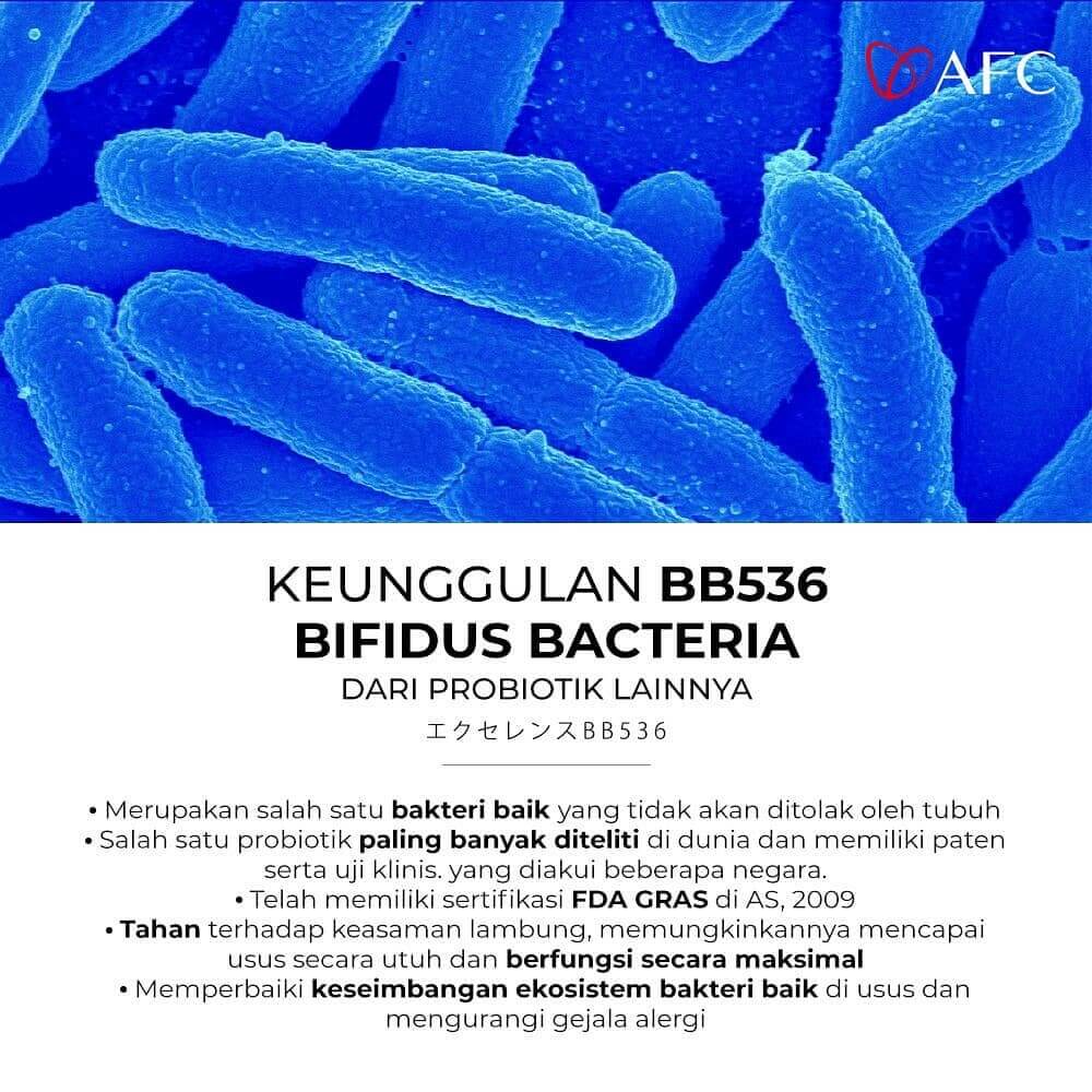 Lactic Acid Bacterial FK-23, Bifidus Bacteria BB536 | AFC Indo