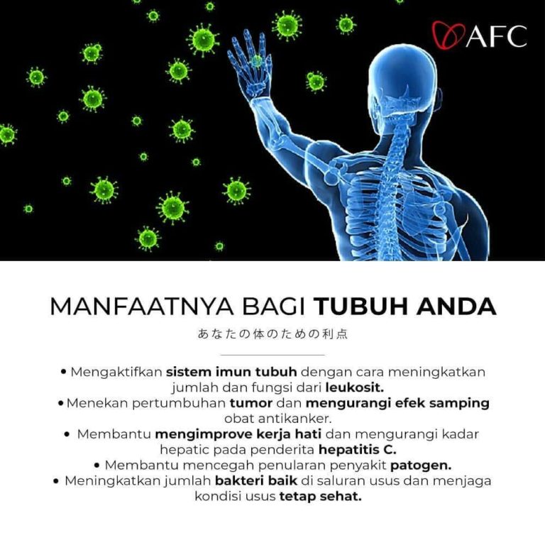 Lactic Acid dan Bifidus Bacteria (4)