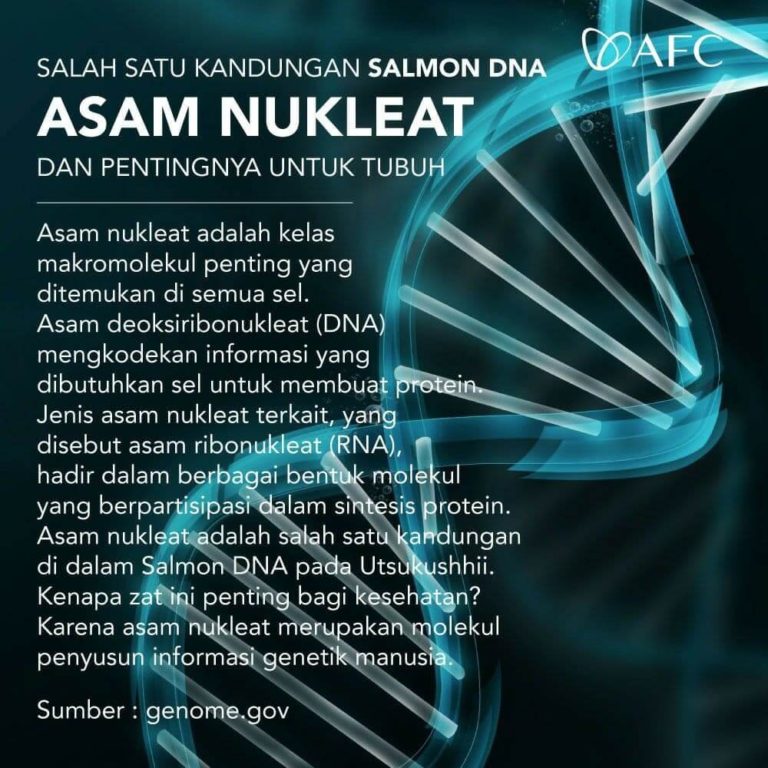 Asam Nukleat - DNA (1)