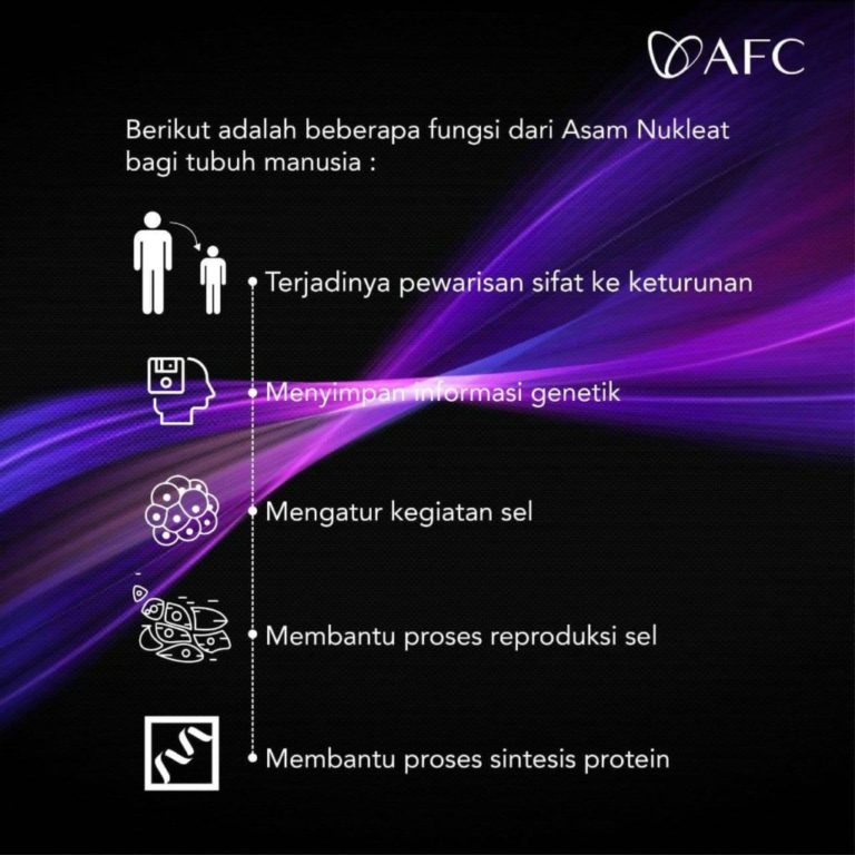 Asam Nukleat - DNA (2)