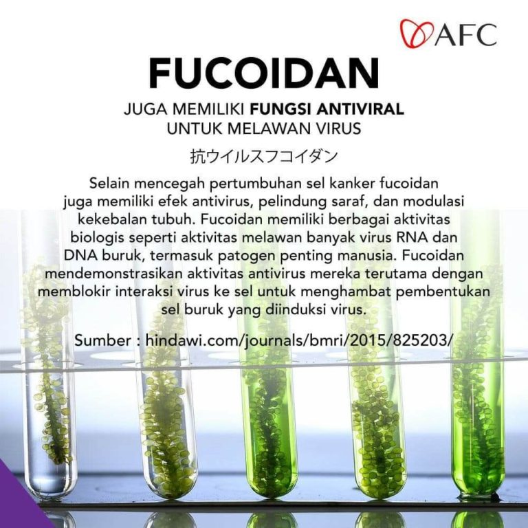 Fucoidan Anti Virus