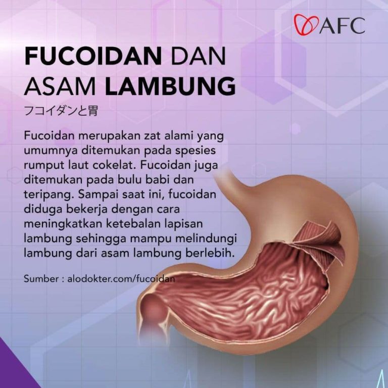 Fucoidan - Asam Lambung