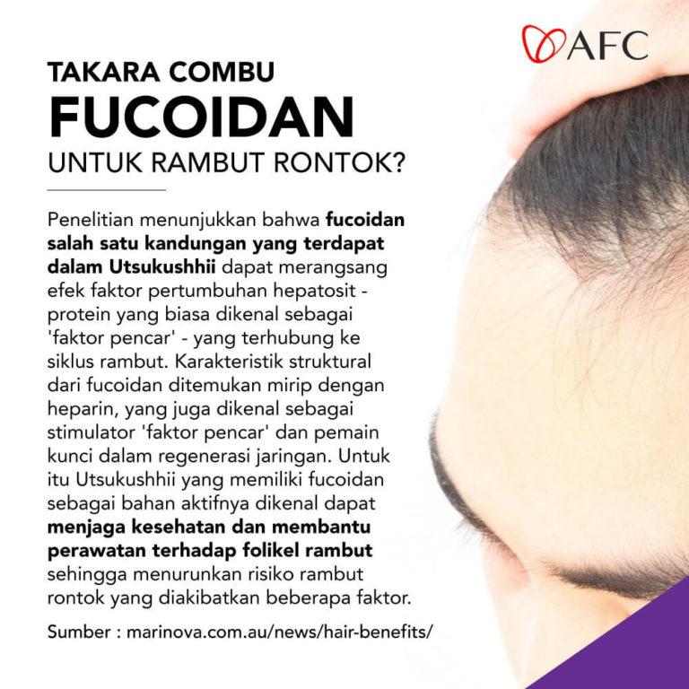 Fucoidan - Rambut Rontok