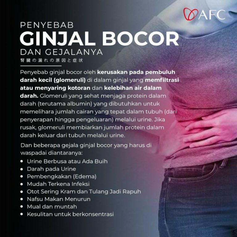 Ginjal Bocor (1)