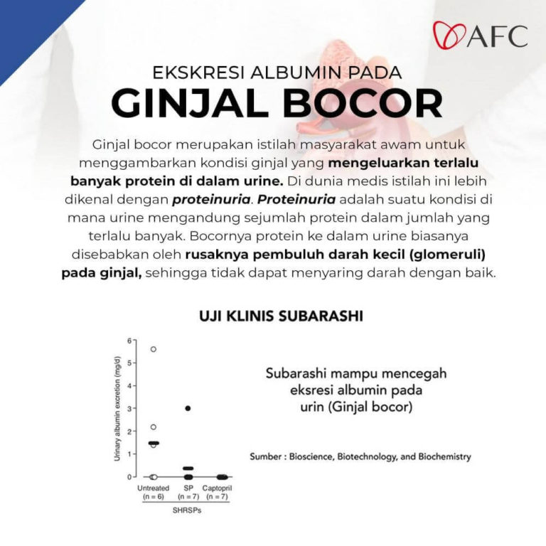 Ginjal Bocor (2)