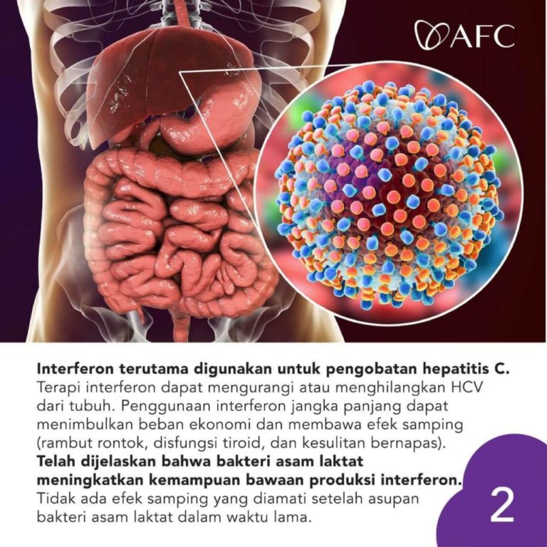 Hepatitis C dan Probiotik (2)