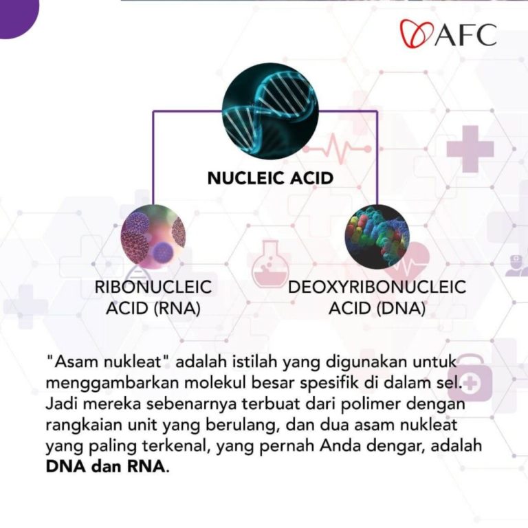 Nucleic Acid (1)