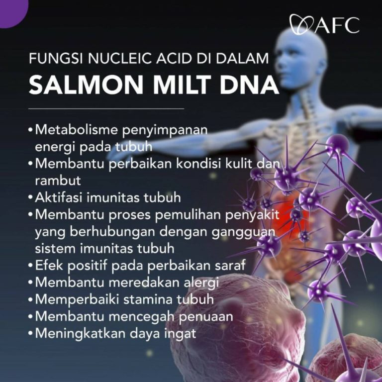 Nucleic Acid (3)