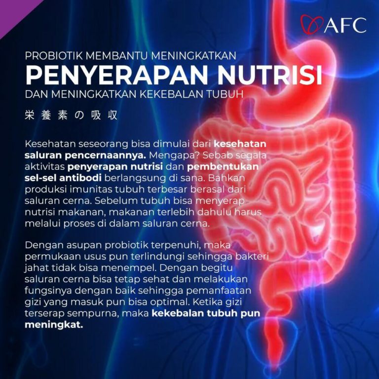 Probiotik Untuk Penyerapan Nutrisi