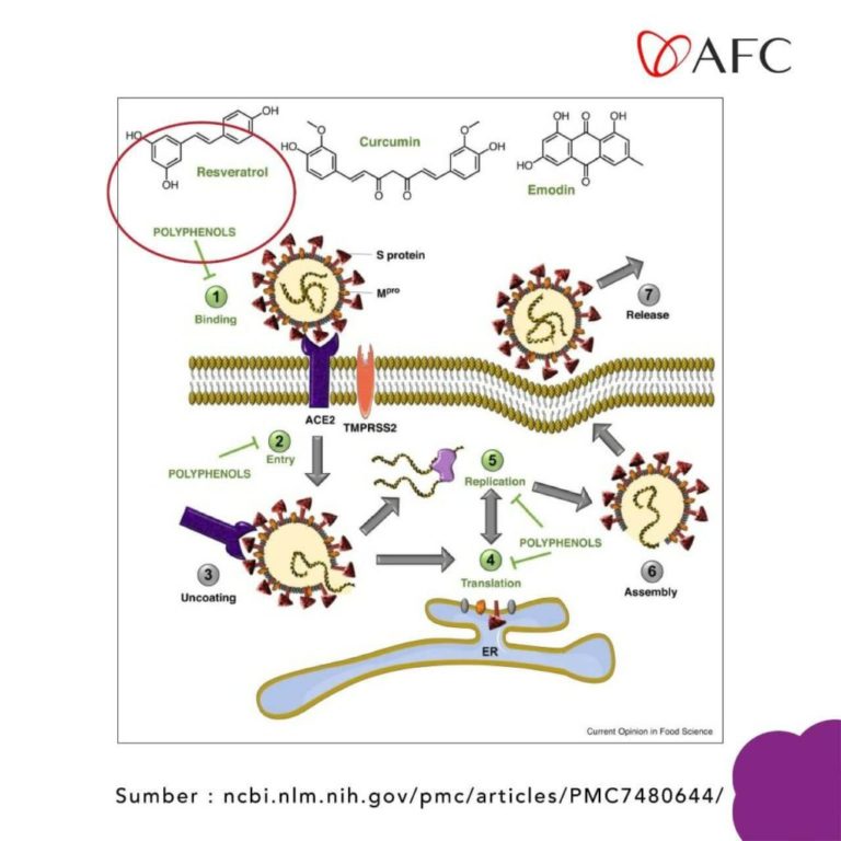 Resveratrol - Covid (1)