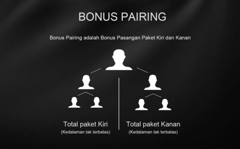 Bonus Pairing - 2101 (1)